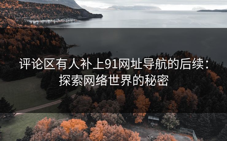 评论区有人补上91网址导航的后续：探索网络世界的秘密